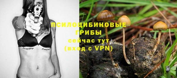 тгк Алзамай