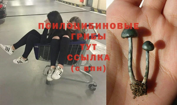 стаф Алексеевка