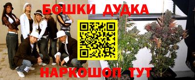 индика Кудымкар