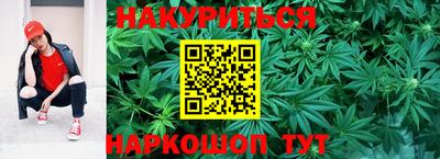 индика Кудымкар