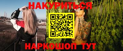 индика Кудымкар
