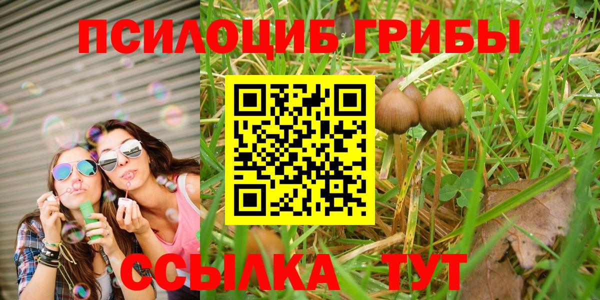 Галлюциногенные грибы Magic Shrooms  Вход с VPN  Апшеронск  Псилоцибиновые грибы MAGIC MUSHROOMS 